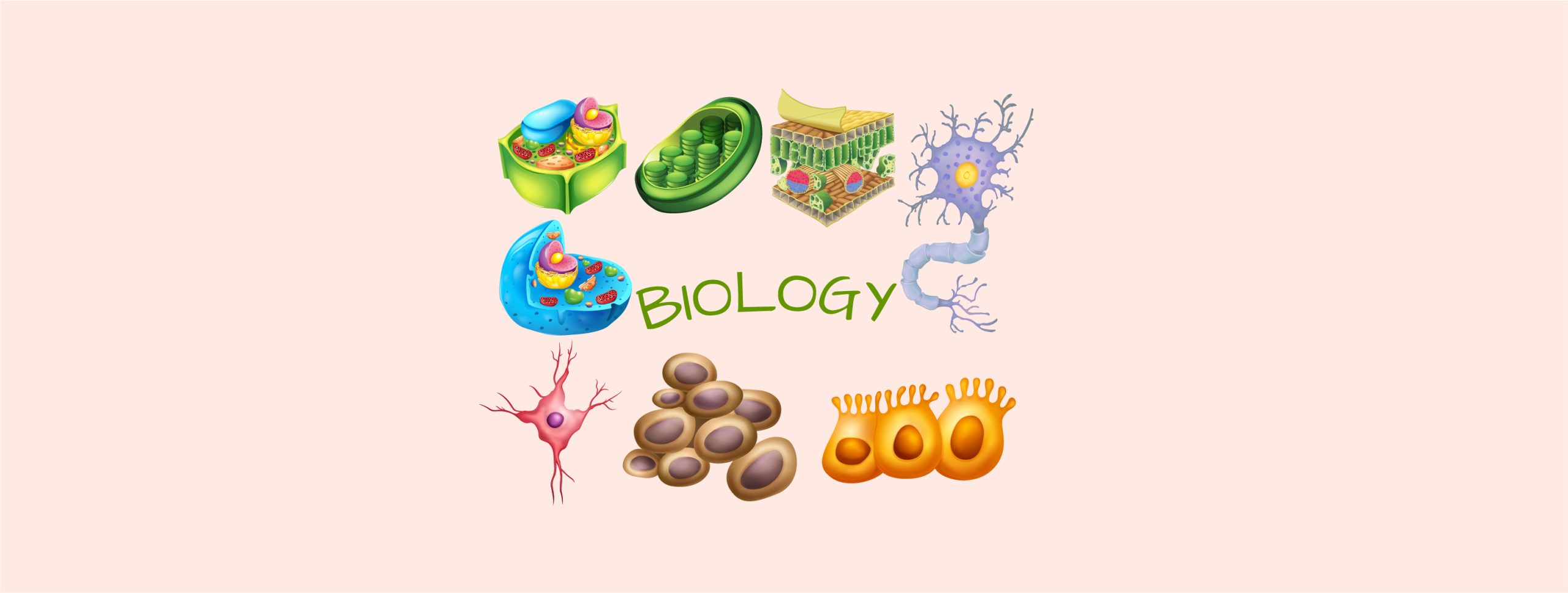 Biology.jpg